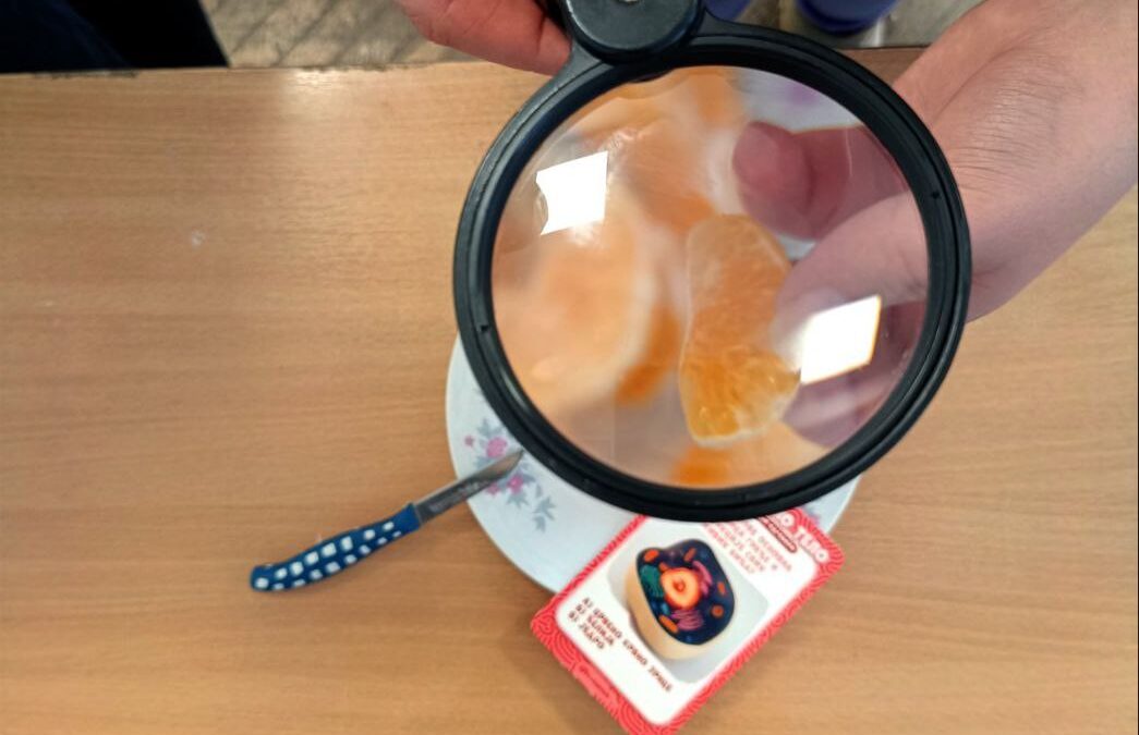 Наши мали биолози у акцији!