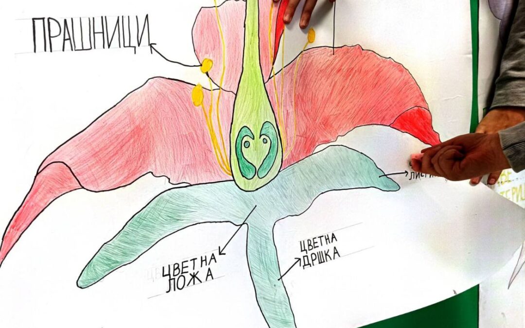 Са нашим инстраживачима кроз друго тромесечје